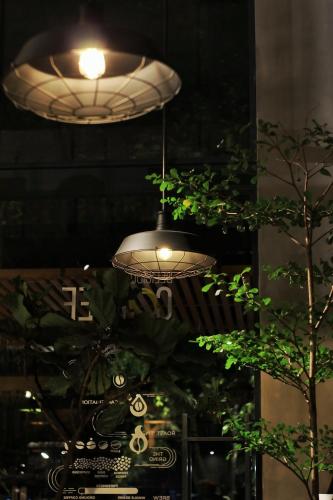 two lights hanging from a ceiling with a tree at Hay Bandung in Bandung