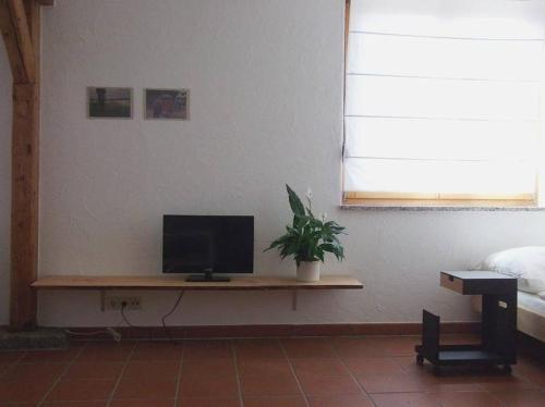 a television sitting on a table in a room at Ferienwohnung Design Apartment Seoul in Radolfzell am Bodensee