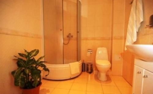 Koupelna v ubytování Edem Hotel