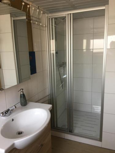 a bathroom with a shower and a sink at Einzigartiges Haus am Isselmeer in Wervershoof