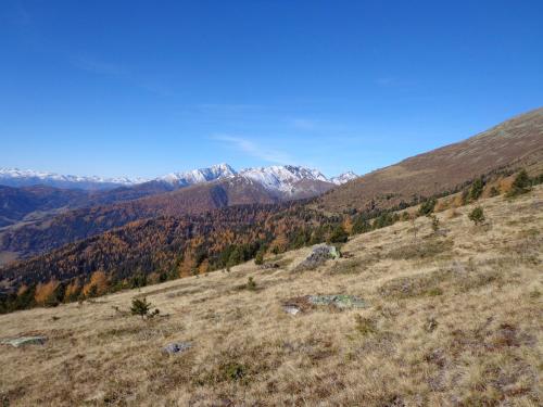a view of the mountains from the top of a hill at Apartment zum Wasserfall in Krakaudorf