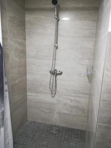 a shower with a glass door in a bathroom at Vörös Macska Vendégház in Szentkirályszabadja