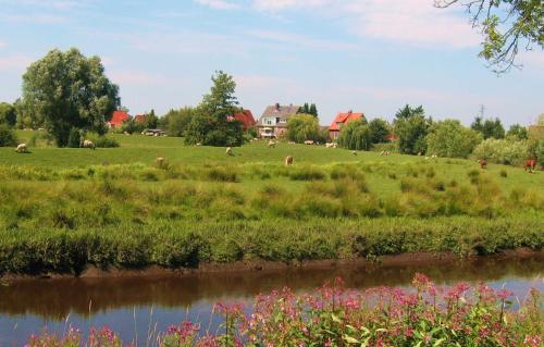 a field with cows grazing in a field with a river at Ferienhaus Scout 42 im Feriendorf Altes Land in Hollern-Twielenfleth