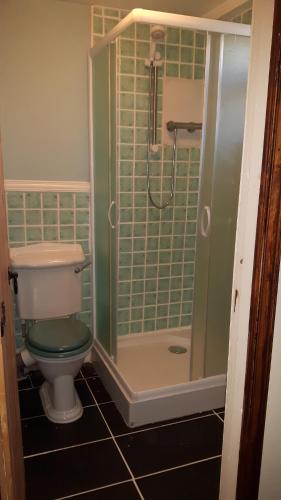 une salle de bain avec toilettes et douche dans l'établissement le petit secret, à Saint-Hilaire