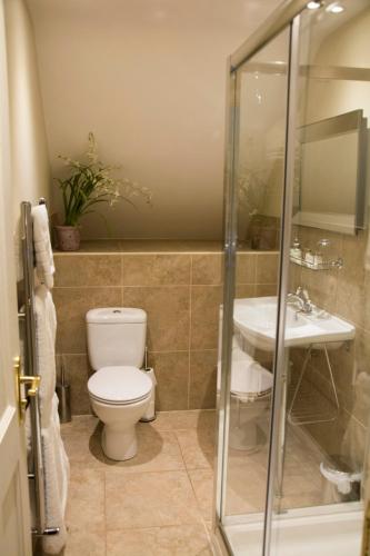 a bathroom with a toilet and a sink at The Lion in Leintwardine