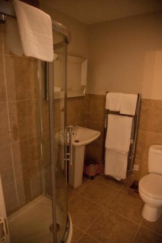 a bathroom with a shower and a sink and a toilet at The Lion in Leintwardine
