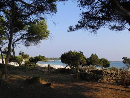 Φυσικό τοπίο κοντά σε αυτό το διαμέρισμα