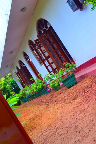 Κήπος έξω από το Chaya Villa Guest House
