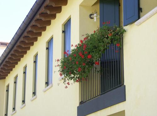 a window with a flower box with red flowers on it at Sant'Andrea Agriturismo con cantina Martignago Vignaioli Asolo Prosecco Docg Wines in Maser