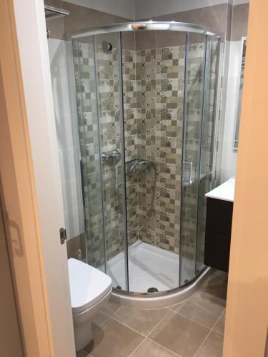 bagno con doccia e servizi igienici. di dp85 Apartamentos a Sarria