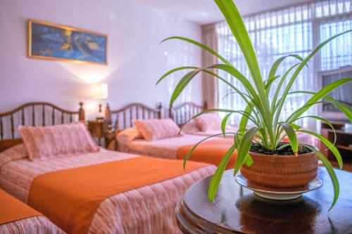 Pokój z dwoma łóżkami i doniczką na stole w obiekcie GHL casa hotel w mieście Bogota