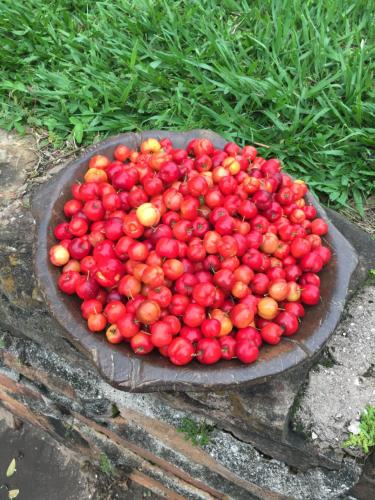 Φωτογραφία από το άλμπουμ του Pousada Fazenda Pinhalzinho σε Ribeirao Claro