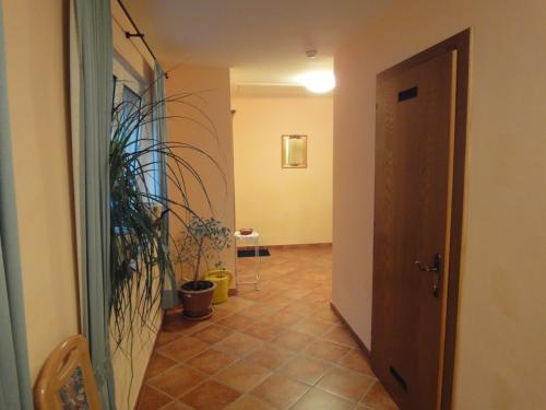 a hallway with a door leading to a room with plants at Appartementhaus Maria in Radstadt