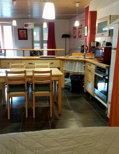Dapur atau dapur kecil di Home Nantua studio meublés Ain-Jura
