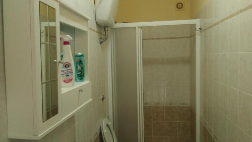 a bathroom with a shower with a glass door at Edelweiss in Palmi