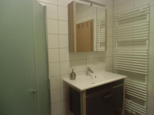 y baño con lavabo, espejo y ducha. en FeWo am Bogen-Biwak, en Groß Wasserburg