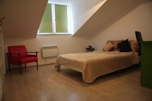 Apartment in city center