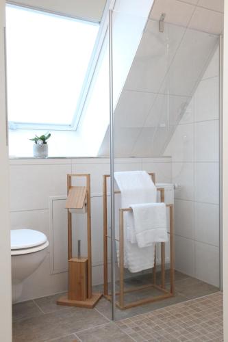 a bathroom with a glass shower and a toilet at Schwaben Apartment in Oberboihingen