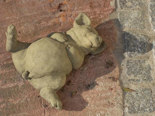 a dog laying on its back on the ground at Badische Landoase in Kehl am Rhein