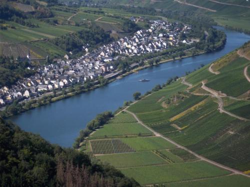an aerial view of a river with a village at Weingut-Gästehaus Karl Otto Nalbach in Briedel