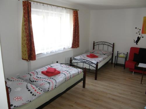 zwei Betten in einem Zimmer mit Fenster in der Unterkunft Apartmán Marie in Český Krumlov