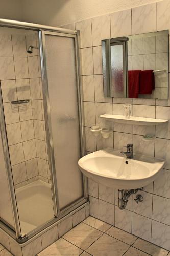 a bathroom with a sink and a shower at Landhaus Mienenbüttel in Neu Wulmstorf