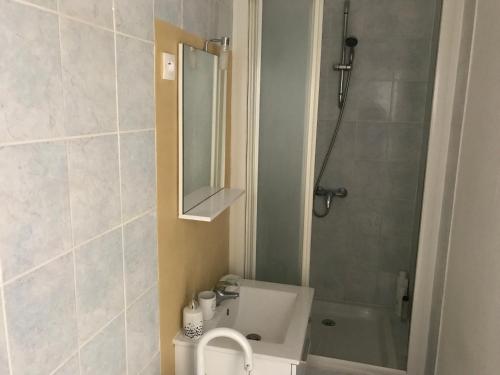 y baño con aseo, lavabo y ducha. en Appartement 2p Le Havre en Le Havre