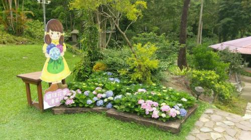 Taman di luar Hemerocallis Country House