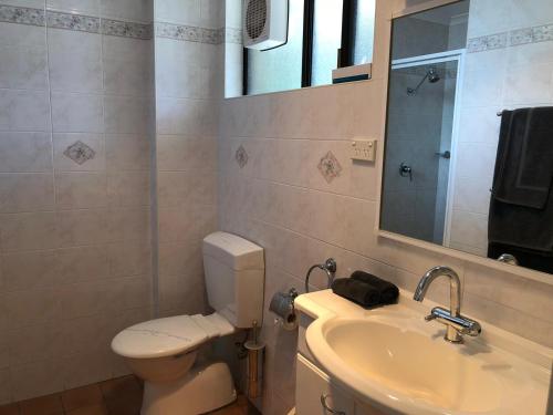 ein Badezimmer mit einem WC, einem Waschbecken und einem Spiegel in der Unterkunft Goulburn Motor Inn in Goulburn