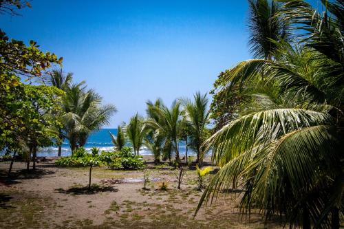 Gallery image of Miguel Surf Camp in Quepos