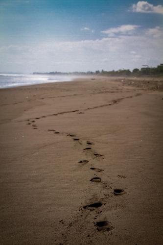 a footprints in the sand on a beach at Miguel Surf Camp in Quepos