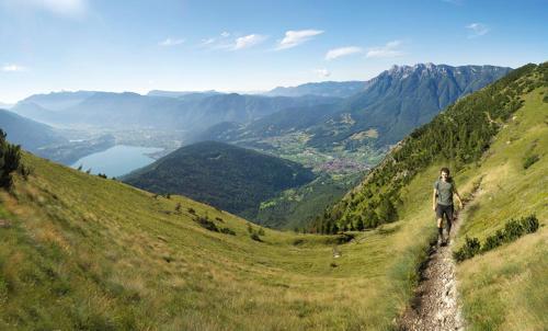 a man riding a mountain bike on a grassy hill at Hotel Alpenrose Wellness in Vattaro