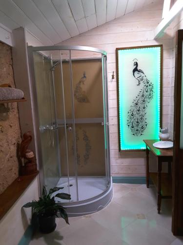 a shower in a bathroom with a picture of a peacock at A La Folly in Murray Bridge