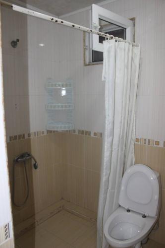 a bathroom with a shower with a toilet and a shower curtain at Festina Lente in Kobuleti