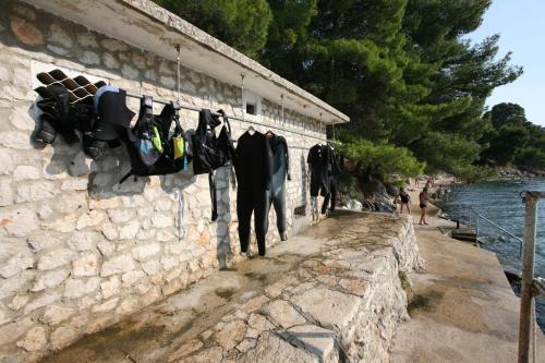 a horse is standing next to a stone wall at Hotel Sali in Sali