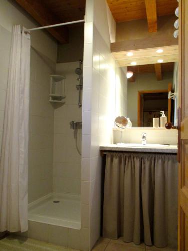 La salle de bains est pourvue d'une douche et d'un rideau de douche. dans l'établissement Gite 