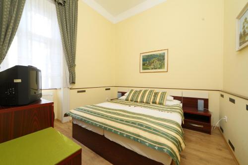 um quarto com uma cama, uma televisão e uma janela em Hotel Blaha Lujza em Balatonfüred