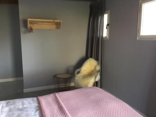 a dog standing in the corner of a bedroom at B&B Erve ten Dam in Ambt Delden