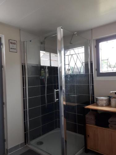 une douche avec une porte vitrée dans une salle de bain dans l'établissement Le cosy plage, à Ouistreham