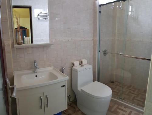 a bathroom with a toilet and a sink and a shower at Annama Lodge and Dive in Hoarafushi