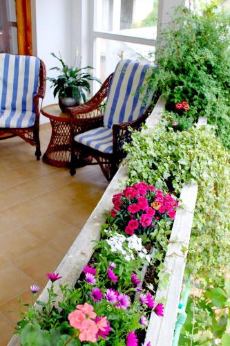 Gallery image of Monten in Sveti Stefan