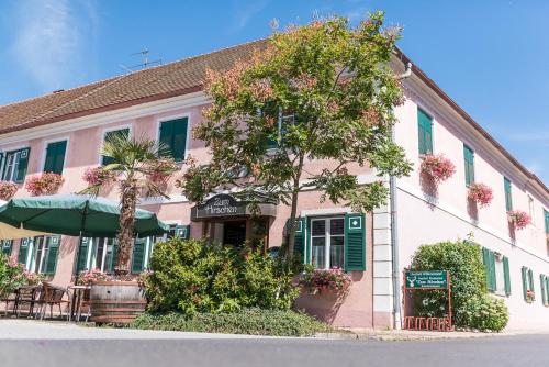 a pink building with a tree in front of it at Gasthof zum Hirschen in Burgau