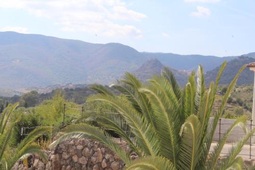 a view of a mountain range with a palm tree at Le Tre Rose in Bono
