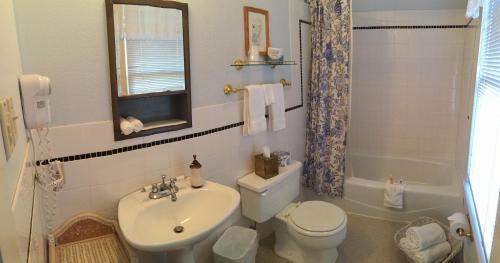 a bathroom with a white toilet and a sink at Inn On The River in Glen Rose