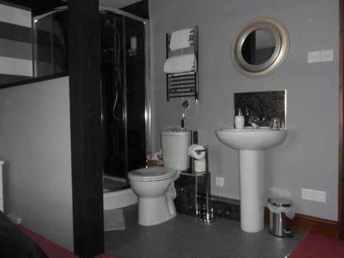 a bathroom with a toilet and a sink at Midtown Farm Bed & Breakfast in Easton