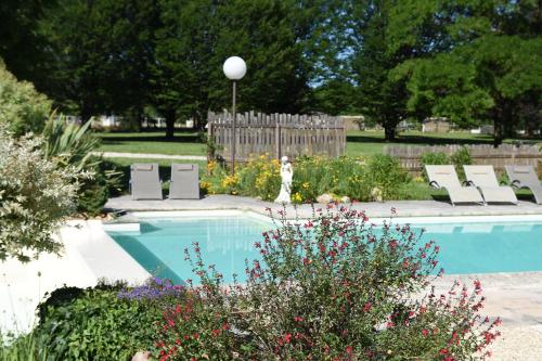 a dog is standing next to a swimming pool at Le Mas Des Bories - Grand Perigueux in Antonne-et-Trigonant