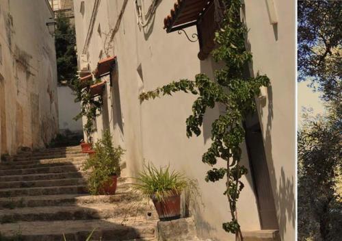 a stairway with potted plants on the side of a building at Blue And Blue City in Ugento