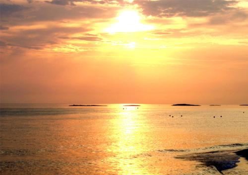 a sunset on the beach with birds in the water at Blue And Blue City in Ugento