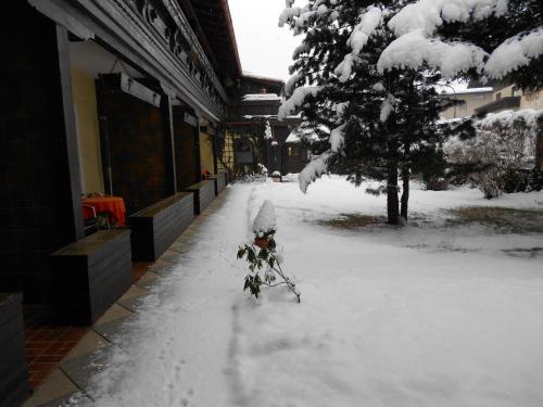 Alpen-Appartementhof semasa musim sejuk