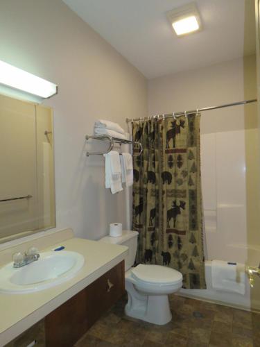 a bathroom with a sink and a toilet and a shower at Tug Hill Resort in Redfield